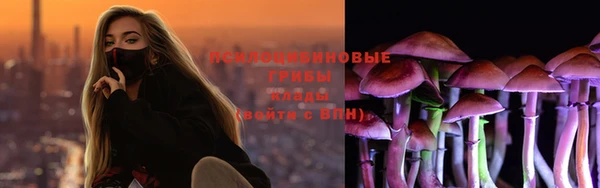альфа пвп Каменногорск