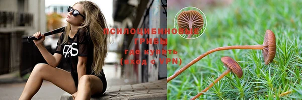 альфа пвп Каменногорск