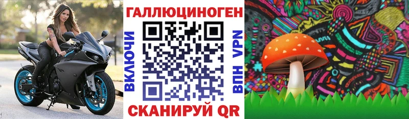 Псилоцибиновые грибы Psilocybe Нижний Новгород