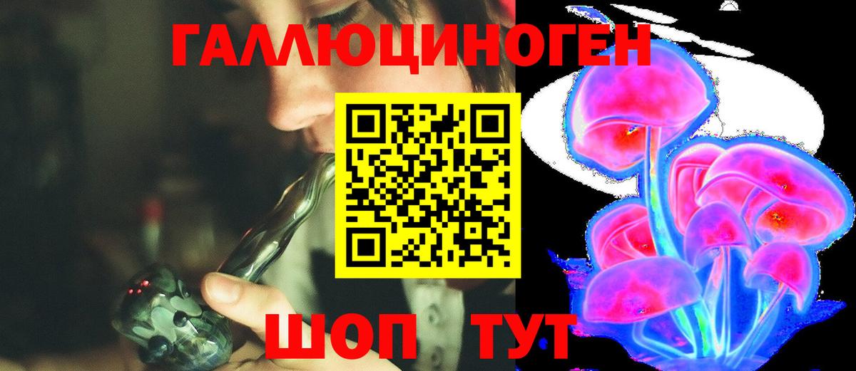 Галлюциногенные грибы Cubensis Нижний Новгород
