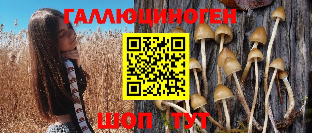Псилоцибиновые грибы мицелий  Псилоцибиновые грибы Cubensis  Вход с VPN  Нижний Новгород 